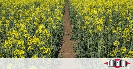 Rural en rade, p&eacute;riurbain en regain, m&eacute;tropoles in&eacute;gales: le &laquo;barom&egrave;tre des territoires&raquo; a parl&eacute; | PAYSAGE ET TERRITOIRES | Scoop.it