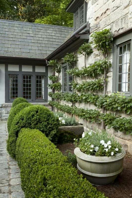 French Parterre | 1001 Gardens ideas ! | Scoop.it