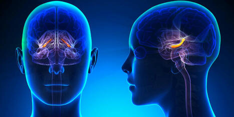Brain health: Knowing two languages might be protective against Alzheimer's progression | Benefits of Bilingualism | Scoop.it