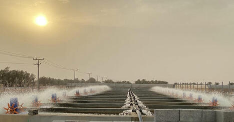 FISH FARMING : Saudi Arabia’s trout farming pioneer | CIHEAM Press Review | Scoop.it