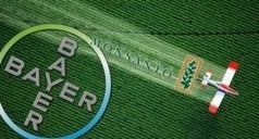 Bayer Monsanto, une menace pour l’environnement | Toxique, soyons vigilant ! | Scoop.it