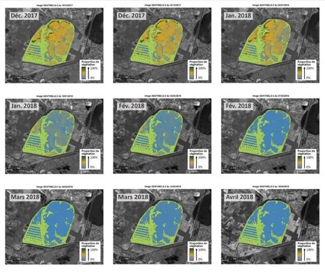 Rapport de th&egrave;se professionnel - D&eacute;veloppement d&rsquo;une m&eacute;thode de suivi de la dynamique spatio-temporelle de l&rsquo;herbier de la lagune du Grand Bagnas | Biodiversit&eacute; | Scoop.it