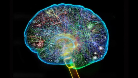 Quantum Mechanics Helps Explain Why Humans Sometimes Make Foolish Decisions | Science News | Scoop.it