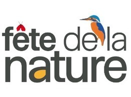Fête de la Nature 2020 reportée du 7 au 11 octobre | Variétés entomologiques | Scoop.it