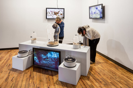 InterAccess gallery | Where art and teck meet /// #mediaart #artsci | Digital #MediaArt(s) Numérique(s) | Scoop.it