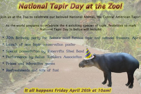 Tapir Day Celebrations | Cayo Scoop!  The Ecology of Cayo Culture | Scoop.it