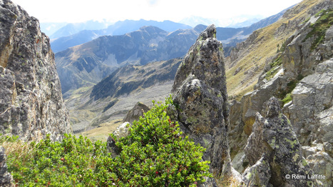 AULON : Découverte de la géologie, des anciens glaciers et du paysage glaciaire de la RNR d’Aulon le 17 août | Vallées d'Aure & Louron - Pyrénées | Scoop.it