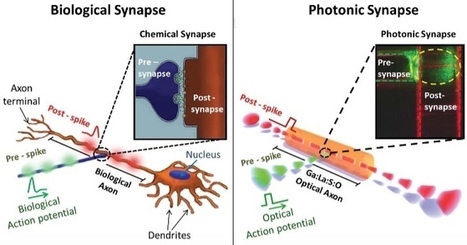 Optical fibers demonstrate brain-like computing | KurzweilAI | Ciencia-Física | Scoop.it