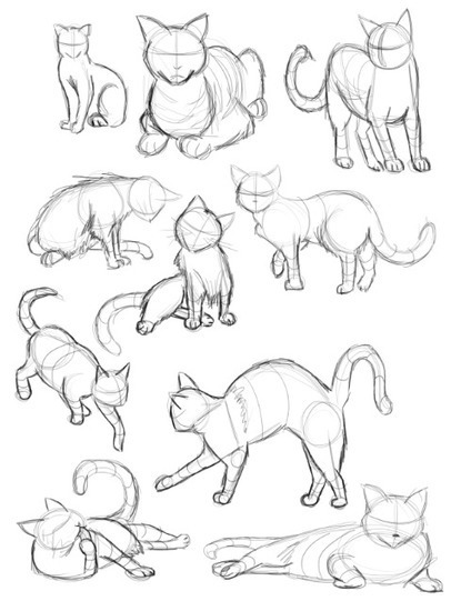 Cat Gestures Drawing Reference Guide | Drawing References and Resources | Scoop.it