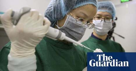 Second woman carrying gene-edited baby, Chinese authorities confirm | Science | The Guardian | Animal Models - GEG Tech top picks | Scoop.it