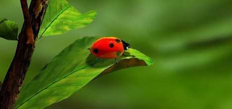 L’économie au coeur des assises de la biodiversité à Clermont-Ferrand | Le journal de l'éco | Biodiversité | Scoop.it