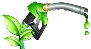 Conforter la production européenne de biocarburants qui ne menace ni l'environnement ni la sécurité alimentaire | EUROPES | Scoop.it