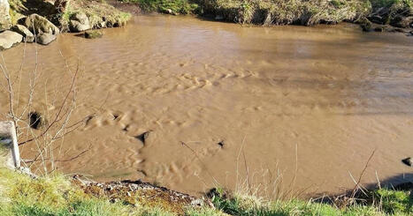Environmental watchdog probing 'pollution spill' into historic Bannock Burn / le 02.04.2025 | Pollution accidentelle des eaux (+ d&eacute;chets plastiques) | Scoop.it
