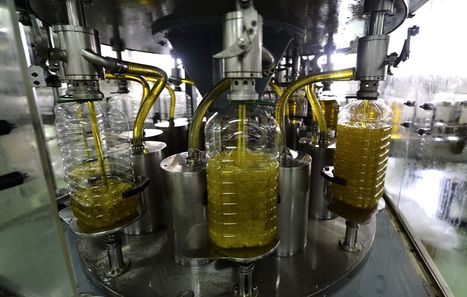 El aceite de oliva sufre por culpa de los precios (suban o bajen) | OLIVE NEWS | Scoop.it
