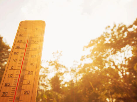 Canicule 2026 : la fili&egrave;re &eacute;v&eacute;nementielle mesure son impact | Albi - Veille e-tourisme | Scoop.it