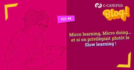 Micro learning, Micro doing&hellip; et si on privil&eacute;giait plut&ocirc;t le Slow learning ! | Innovation et transformation p&eacute;dagogique | Scoop.it
