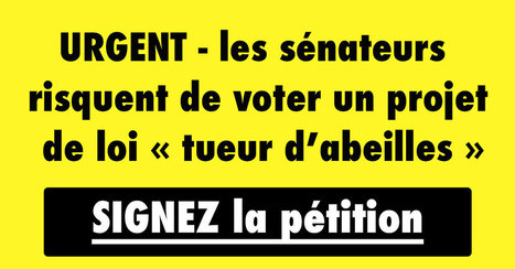 PÉTITION - Stop aux "sénaTUEURS d'abeilles" ! | 16s3d: Bestioles, opinions & pétitions | Scoop.it