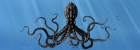 Octopuses have a lot of secrets. Can you guess 8 of them? | Soggy Science | Scoop.it