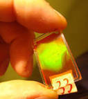 Des chercheurs ont réussi à ralentir et à stocker de la lumière dans un cristal | Remembering tomorrow | Scoop.it
