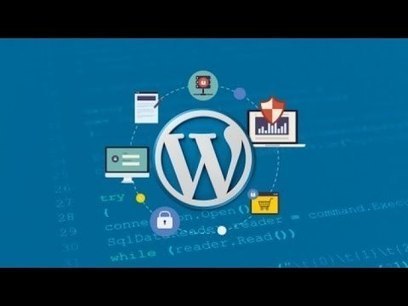 Die besten WordPress Themes 2016 - Create Free Blog | Wordpress-Webdesign | Scoop.it