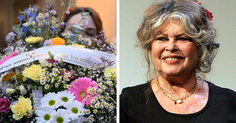 Brigitte Bardot d&ouml;dsorsak &ndash; dog i cancer | 1Uutiset - Lukemisen t&auml;hden | Scoop.it