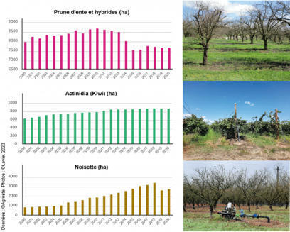 FRANCE : quelle durabilité de l’arboriculture irriguée dans le sud-ouest ? | FRUITS ET LÉGUMES | Scoop.it