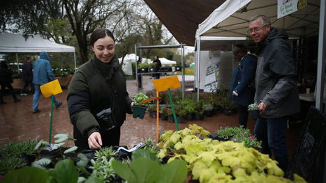 Qu’il pleuve ou qu’il vente, «Lille aux jardins» fait le plein | Nature en ville | Scoop.it