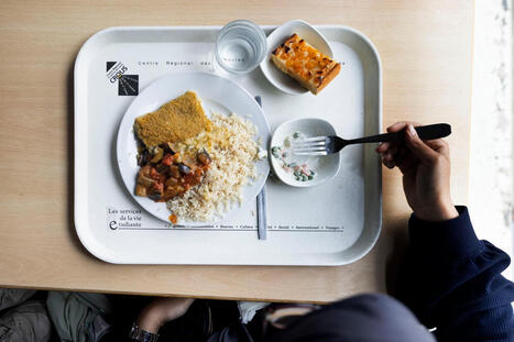 Les repas &agrave; 1&nbsp;euro exp&eacute;riment&eacute;s par les &eacute;tudiants et les personnels sur le campus de Villetaneuse&nbsp;: &laquo;&nbsp;Un galop d&rsquo;essai avant la rentr&eacute;e&nbsp;&raquo;- Le Monde | Revue de presse | Scoop.it