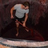 Biogaz : de l’électricité à partir de vin et de fromage ? | Build Green, pour un habitat écologique | Scoop.it