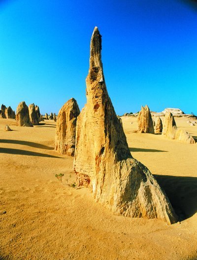 Nambung National Park « Blog Australia-Australie.com | Les déserts dans le monde | Scoop.it