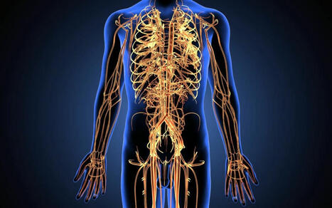 Understanding and Treating Nerve Injuries for Better Health | Call: 915-850-0900 | Neuropathy "The Painful Enigma" | Scoop.it