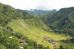 Sustainability of rice landscapes in South East Asia threatened | The Asian Food Gazette. | Scoop.it