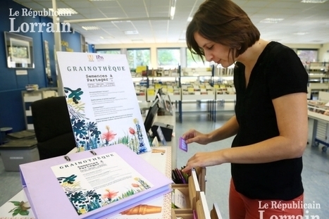 Metz : des graines poussent entre les pages des livres | Les Biblioth&egrave;ques-M&eacute;diath&egrave;ques de Metz dans la presse | Scoop.it