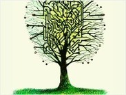 8 business lessons from the birds and the bees | Biomimicry 3.8 | Scoop.it