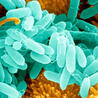 Bioscience News - GEG Tech top picks