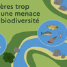 Biodiversit&eacute;
