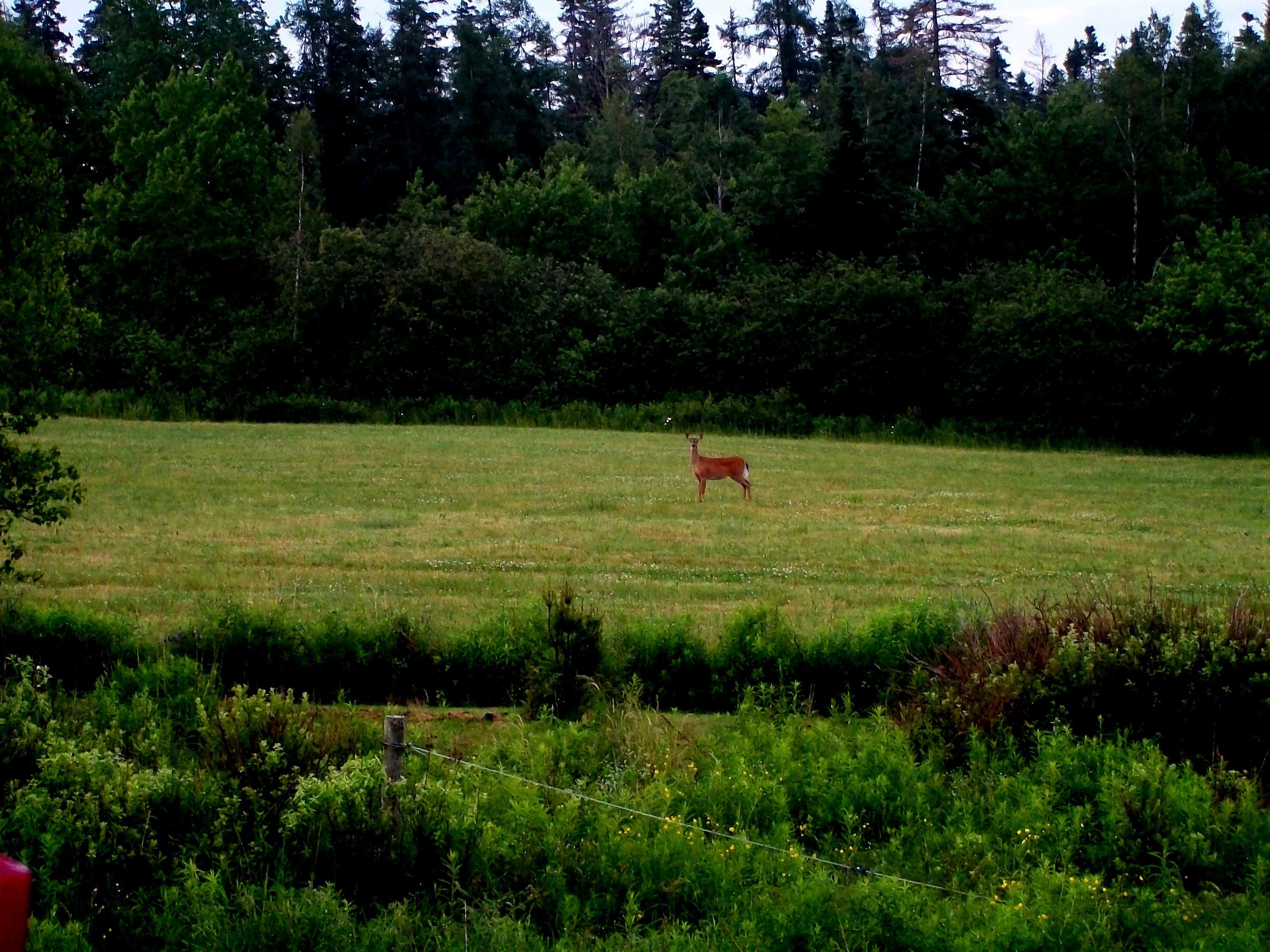 Nova Scotia Hunting Scoop.it