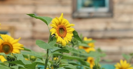 [&eacute;]Co-Habiter : quelles solutions pour vivre ensemble ?&nbsp; | Build Green, pour un habitat &eacute;cologique | Scoop.it