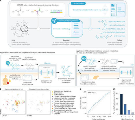Language model-guided anticipation and discovery of mammalian metabolites | nat | RMH | Scoop.it