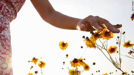 Global warming brings on more pollen | AIHCP Magazine, Articles & Discussions | Scoop.it