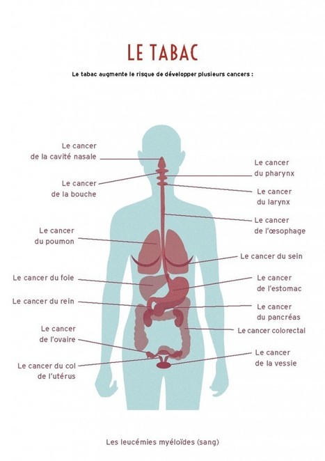 Alcool, tabac et publicité : l’INCa lance l’alerte | Cancer Contribution : construire ensemble les pratiques de demain – Cancer Contribution : construire ensemble les pratiques de demain | Public Health - Santé Publique | Scoop.it