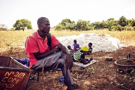 Comment le coton OGM de Monsanto s’est transformé en fléau pour les paysans du Burkina Faso | GREENEYES | Scoop.it