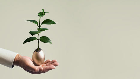 The Changing Role of the Investor Relations Officer | On becoming an activist board! | Scoop.it