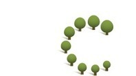 Cambium Global Timberland Reports Narrower Loss for 1st Half 2011 | Timberland Investment | Scoop.it