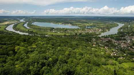 90 hectares supplémentaires acquis : le Val-d’Oise place la luxuriante forêt de Vétheuil sous sa protection | Val-d'Oise : Aménagement et urbanisme | Scoop.it