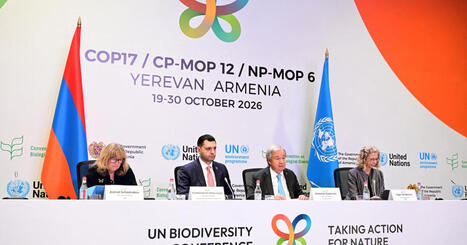 Qu&rsquo;est-ce que la COP17 sur la biodiversit&eacute;, qui s&rsquo;ouvre &agrave; Erevan ? | veille th&eacute;matique | Scoop.it