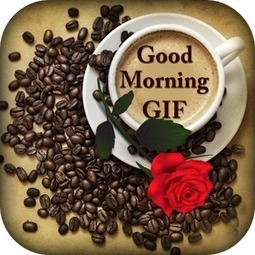 Good Morning Gif Video Download For Friends Am