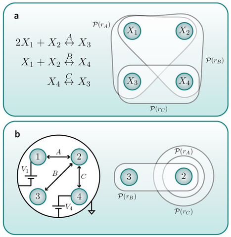 Stochastic Thermodynamics of Multiple Co-Evolving Systems—Beyond Multipartite Processes | Papers | Scoop.it