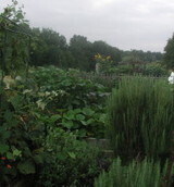 Gardening Tips - Maintenance Mode | Gardening Life | Scoop.it