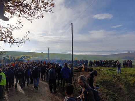 Abattage d'un cheptel aux Bordes / Arize : les responsables syndicaux et de Chambre s'expriment | LeMasInfos | Scoop.it